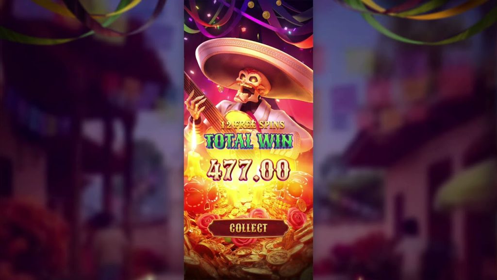 wild bandito casino wins